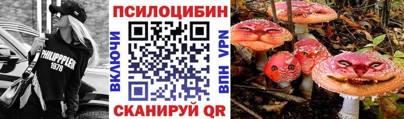 Псилоцибиновые грибы Psilocybe  Мещовск 